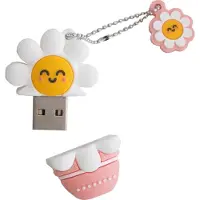 Mr Wonderful Daisy Usb-minne