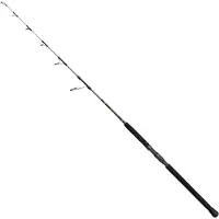 Penn Regiment Iv Pro Jigging-spö