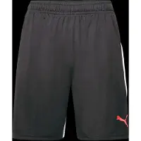 Puma Individualliga Training Shorts
