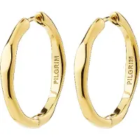 Pilgrim Örhängen 'Inner' guld