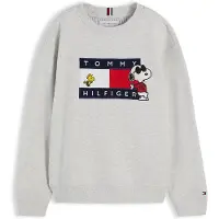 Tommy Hilfiger Peanuts Flag Graphic Embroidery Jumper