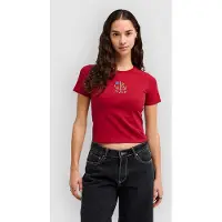 RVCA Sanctum Baby T-Shirt brick red, L