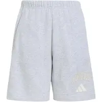 Adidas Seasonals Collegiate Typography Shorts