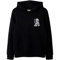Name it Sweatshirt 'NKMLASSE' ljusblå / mauve / svart / vit