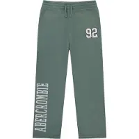 Abercrombie & Fitch Byxa ljusgrå / grön