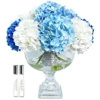 Côte Noire Provence Hydrangeas gåvoset