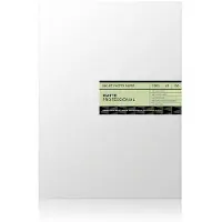 Scandinavian Photo Matt Professional A2 230gr 100blad