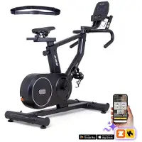 inSPORTline Exercise Bike ZenRoute 250