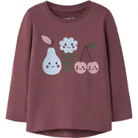 Name it T-shirt 'NMFVIX' ljusblå / gran / plommon / bär