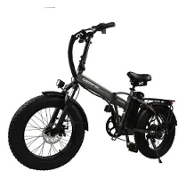 Electric Ride BAOLUJIE DZ2002 Vuxen Elcykel 500W Motor Elcykel 48V13AH Batteri 20 Tums Däck Stad Pendlar Elcykel