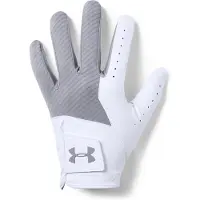 Under Armour Träningshandskar UA Medal Golf Glove-GRY 1349705-035