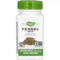 Nature'S Way , Fennel Frö, 480 mg, 100 Vegan Kapslar