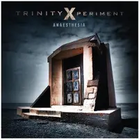 Ginza.se Trinity Xperiment: Anaesthesia