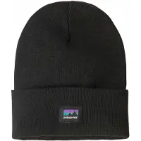 Patagonia Everyday Mössa black