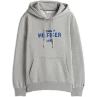 Tommy Hilfiger Stack Regular Fit Tröja Med Huva