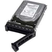 Dell Nearline - Hårddisk - 4 TB - inbyggd - SAS 6Gb/s - nearline - 7200 rpm - för PowerEdge R220, R320, R415, R420, R515, R520, R720, T320, T420, T...