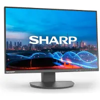 Sharp MultiSync EA241W - EA Series - LED-skärm - 24" - 1920 x 1200 @ 60 Hz - IPS - 300 cd/m² - 1000:1 - 5 ms - HDMI, DVI-D, VGA, DisplayPort - högt...