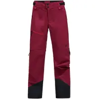 Peak Performance - Skidbyxor dam - W Alpine Gore-Tex 3L Pant Black för Unisex - Storlek L - Svart