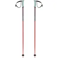 Völkl Phantastick 16 Mm Stavar