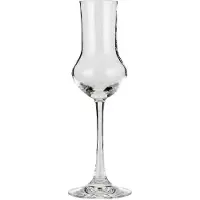 Spiegelau Grappaglas Vino Grande (6 St.)