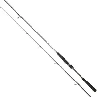 Daiwa Saltist Seabass Spinnfiskespö