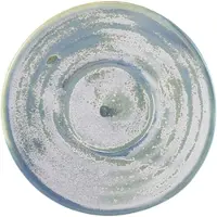 Genware Terra Porcelain Seafoam Fat 11,5 Cm