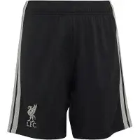 Adidas Liverpool Fc 26/27 Tredje Junior-shorts