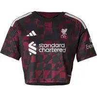 Adidas Funktionstopp 'FC Liverpool 26/27' vinröd / svart / vit