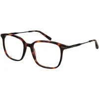 Ted Baker Glasögonbåge TB8295 407 54