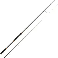 Cinnetic Rextail Tenya 250 Jigging-spö