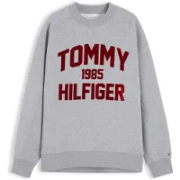 Tommy Hilfiger Sweatshirt 'Varsity' grå / vinröd