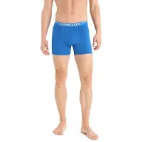 Icebreaker Anatomica Boxers