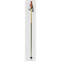 Völkl Phantastick 16mm Poles 2025 Stavar green, 110