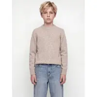 Jack & Jones Esoho Ollie Tröja