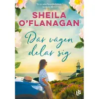 Där vägen delar sig