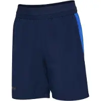 Hummel Blaze 26 Pro Training Shorts