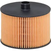HENGST FILTER Bränslefilter E79KP D118