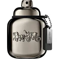 Coach Pure Platinum EDP 40 ml