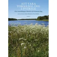 Att vara tornedaling i Sverige : om tornedalingars historia och situation idag