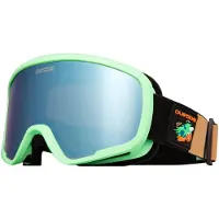 Quiksilver Shredder Junior Skidglasögon