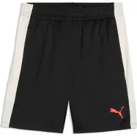 Puma Individualliga Training Shorts