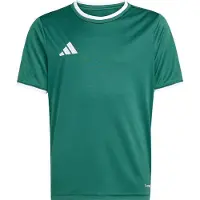 Adidas Funktionstopp 'ENT26' mörkgrön / vit
