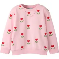 Name it Sweatshirt 'NMFNANCY' ljusgrön / rosé / röd
