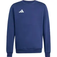 Adidas Entrada26 tröja Barn, storlek 164 cm