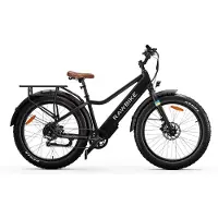 Rawbike Urban Elcykel Jet Black