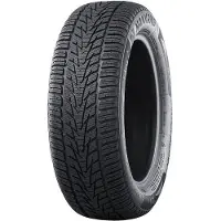 Nankang Winter Activa 4