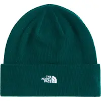 The North Face Norm Beanie Hunter Green