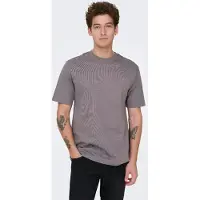 Only & Sons T-shirt 'ONSFred' mörkgrå