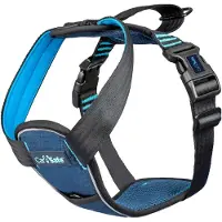 Company of animals Carsafe Crash Tested Dog Hundsele