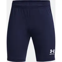 Under Armour Core Shorts